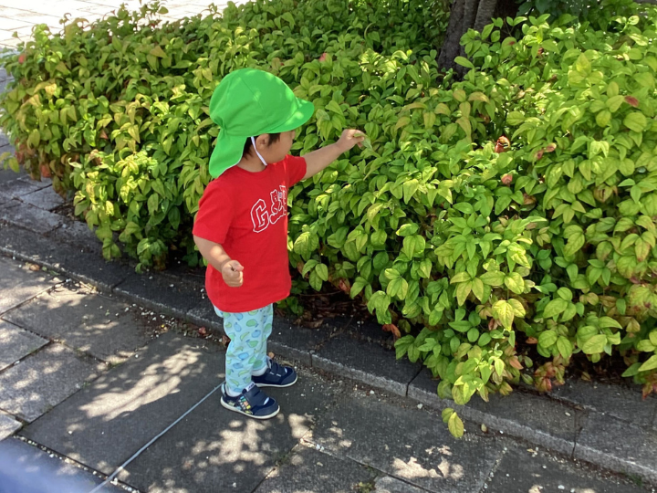 チャイルドケア徳川園2の本日の様子