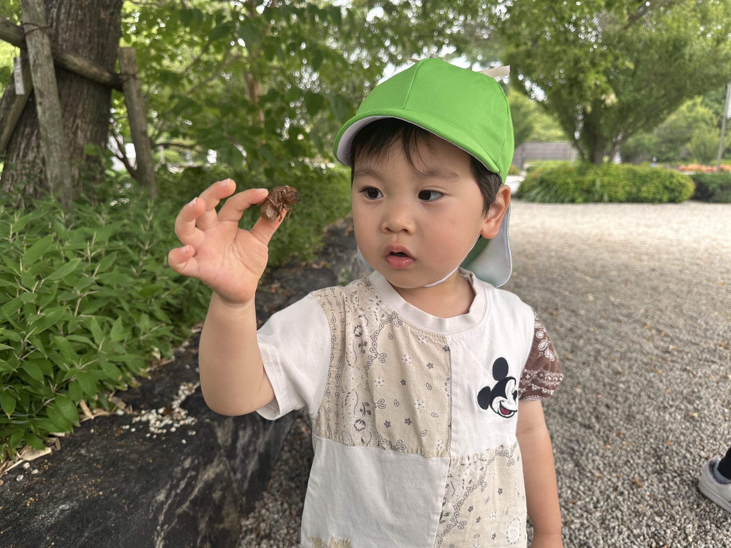 チャイルドケア徳川園II