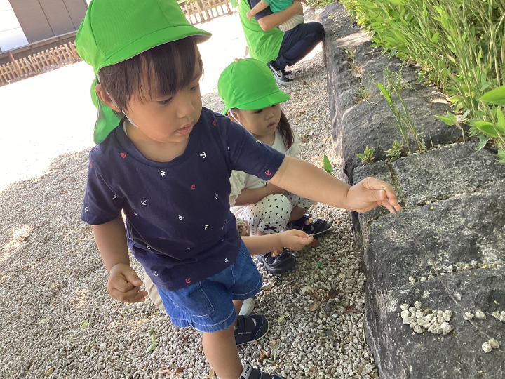 チャイルドケア徳川園2の本日の様子